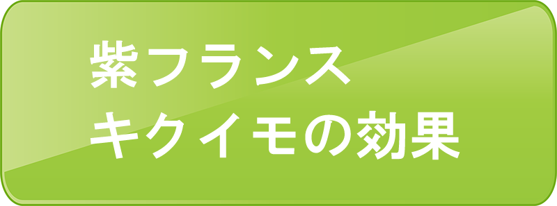 フランスキクイモ キクイモとは 販売元 株式会社アンス フランスキクイモ キクイモとは 販売元 株式会社アンス