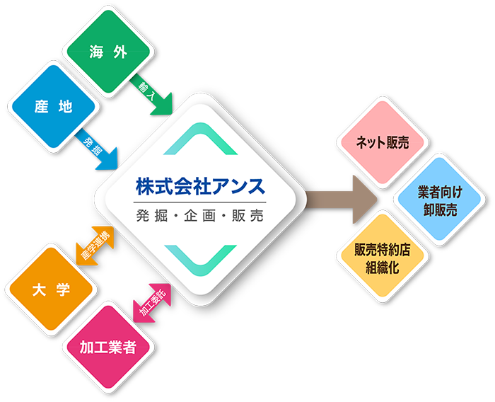 株式会社アンス 事業展開